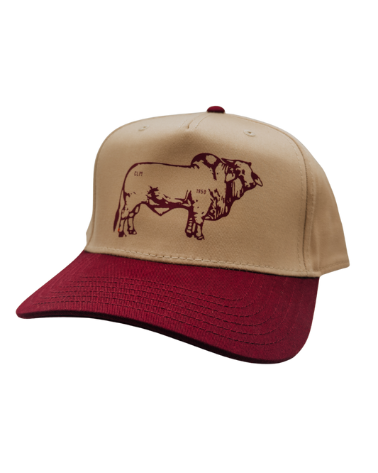 Cattlemen's Branded Brammer Bull - Hat