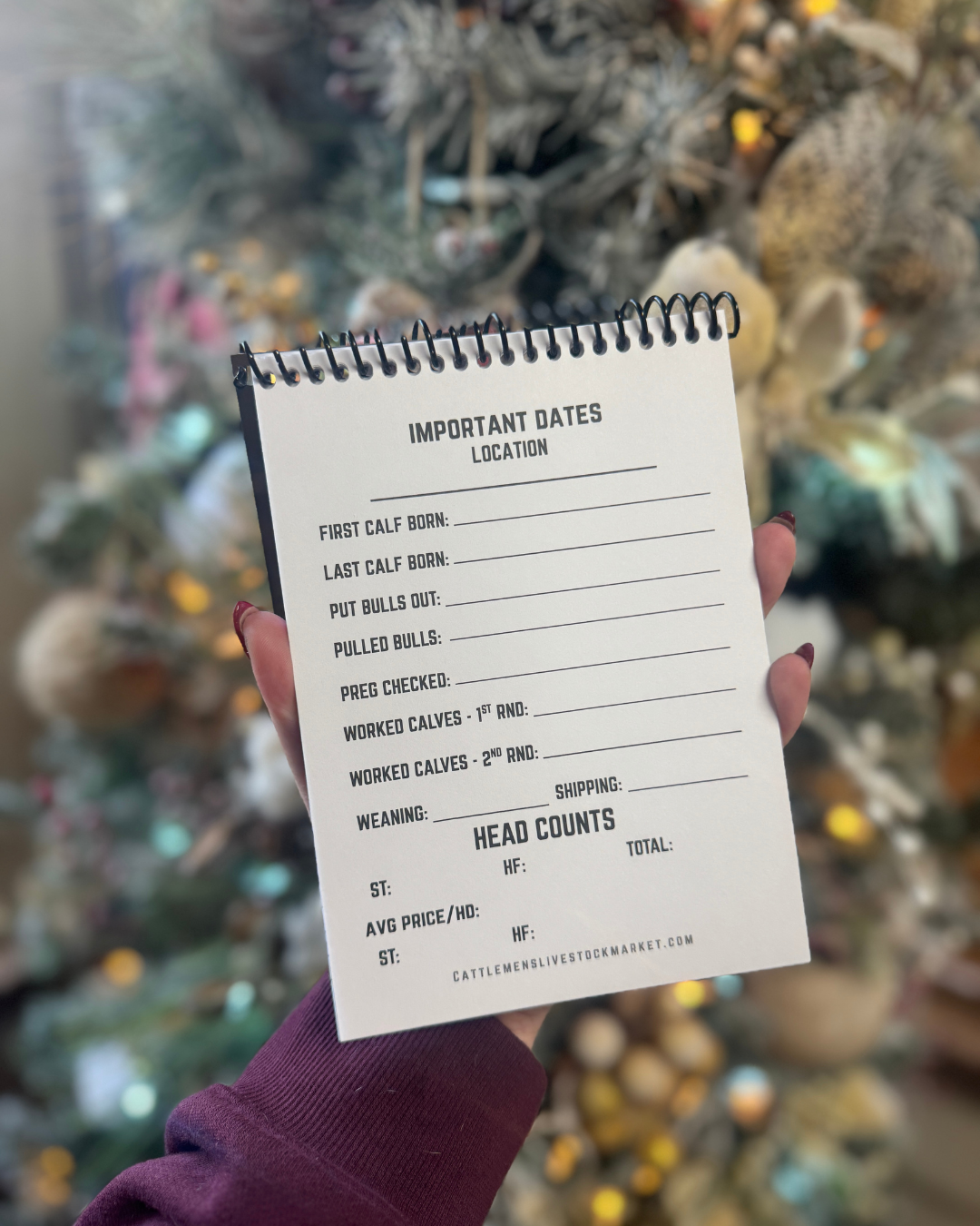 Ranch Records Notebook