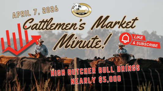 Cattlemen's Market Minute - April 7, 2026