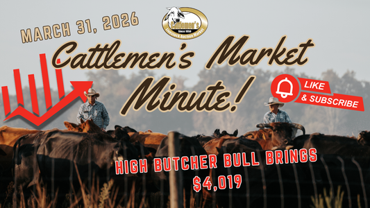 Cattlemen's Market Report March 31, 2026