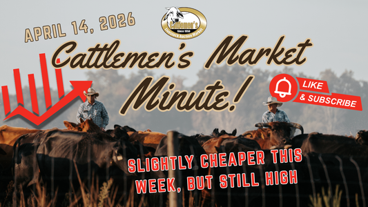 Cattlemen's Market Minute - April 14, 2026
