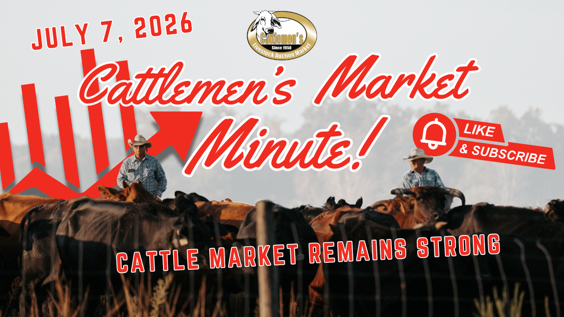 Market Report 7-7-26