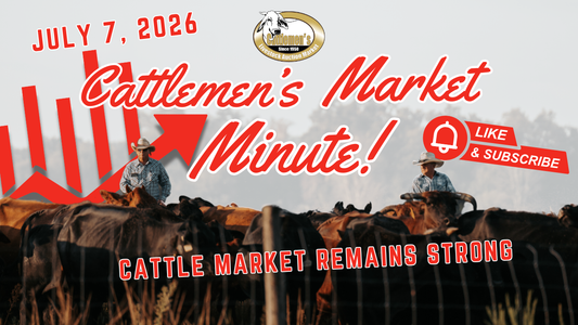 Market Report 7-7-26