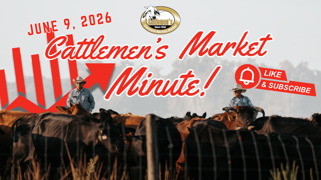 Market Report 6-9-26