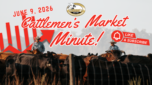Market Report 6-9-26