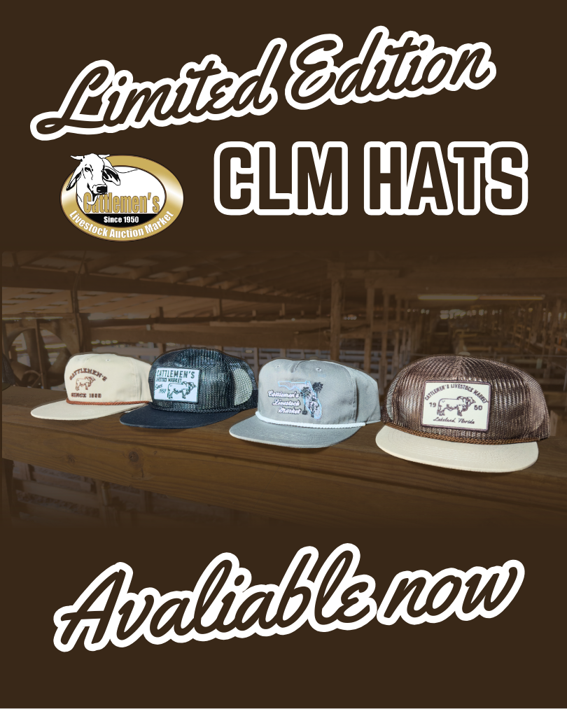 Limited Edition Hats